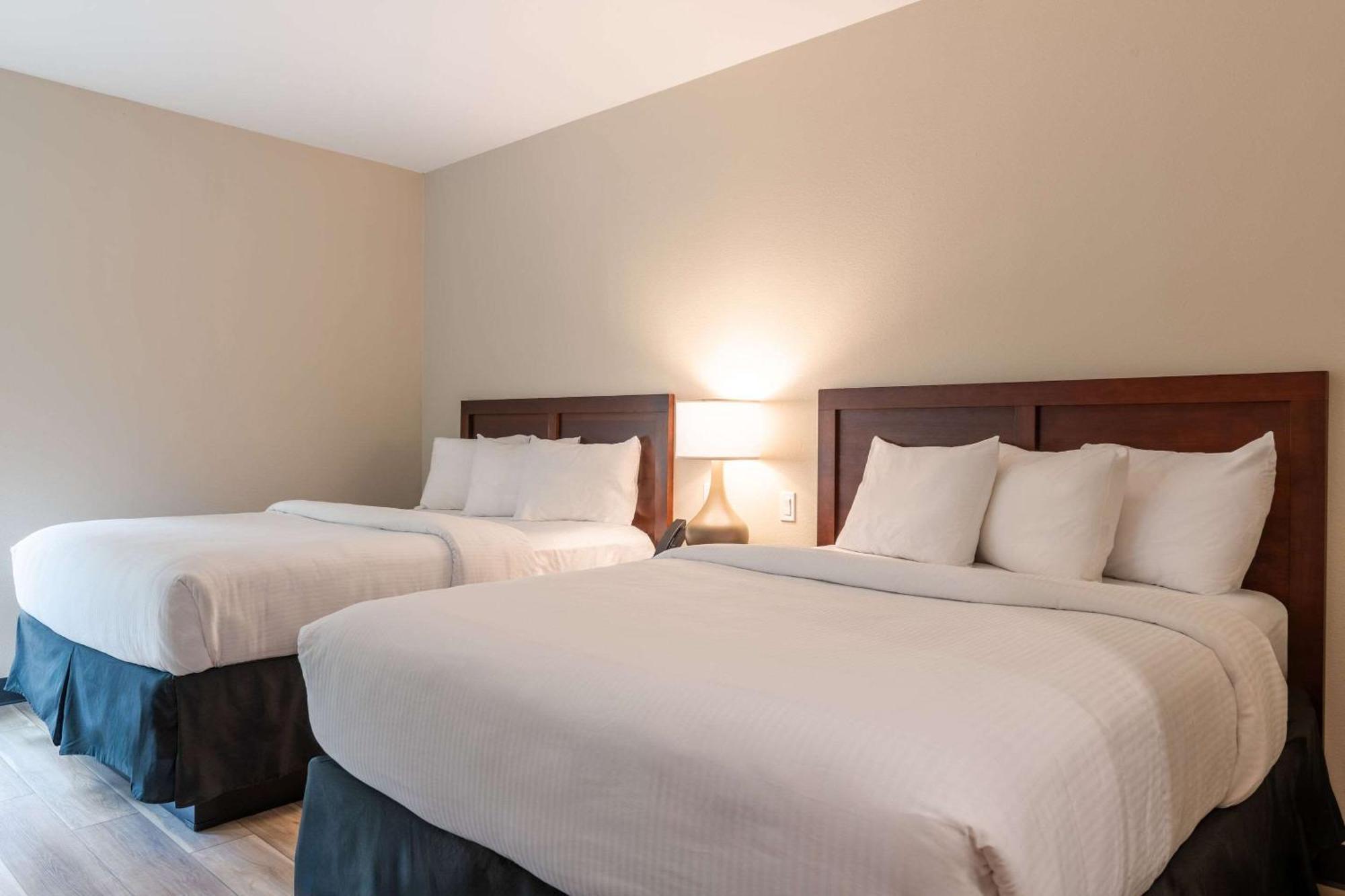 The Chandler At White Mountains, An Ascend Hotel Collection Membe Bethlehem Extérieur photo